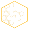 Check 5